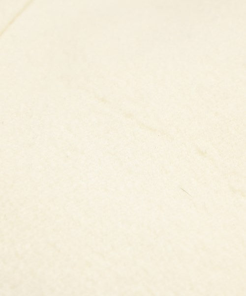 DRESSTERIOR 其他大衣