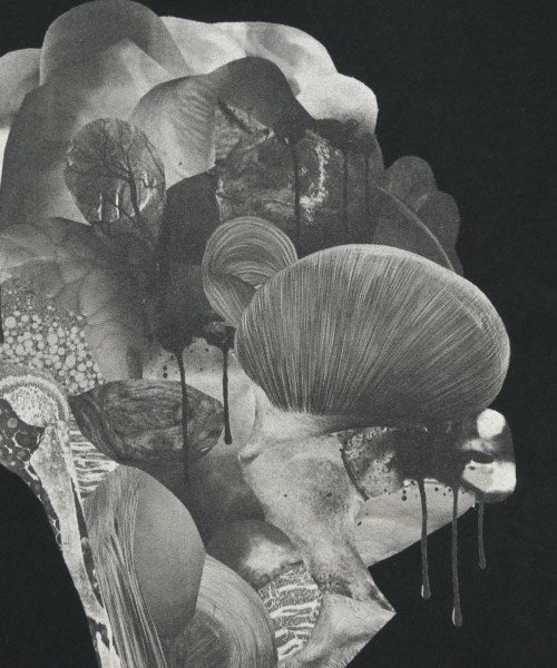 JOHN LAWRENCE SULLIVAN T恤/上衣