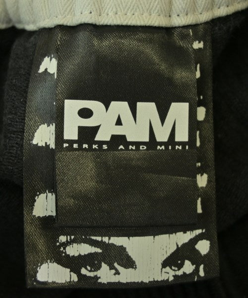 PAM 其他款