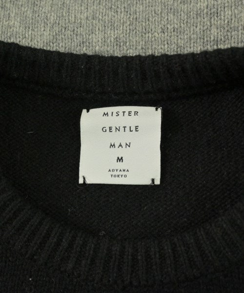 Mr.GENTLEMAN 毛衣