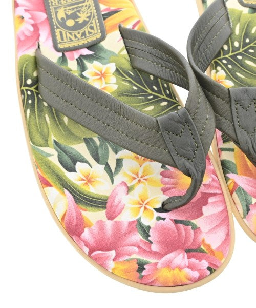 ISLAND SLIPPER 涼鞋