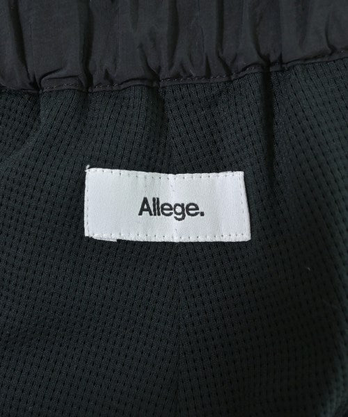 ALLEGE 其他款