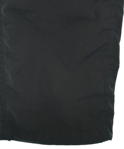 nonnative 其他款