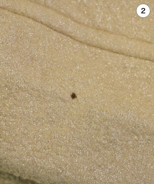 COMME des GARCONS COMME des GARCONS 夾克