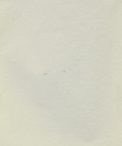 JUNYA WATANABE MAN 斜紋夾克