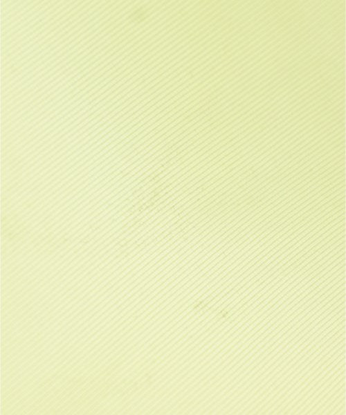 Nﾟ 21 其他大衣