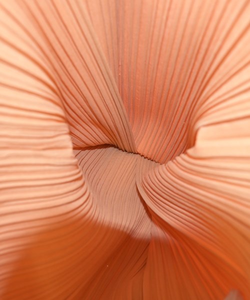 PLEATS PLEASE 托特包