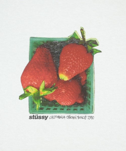 STUSSY T恤/上衣