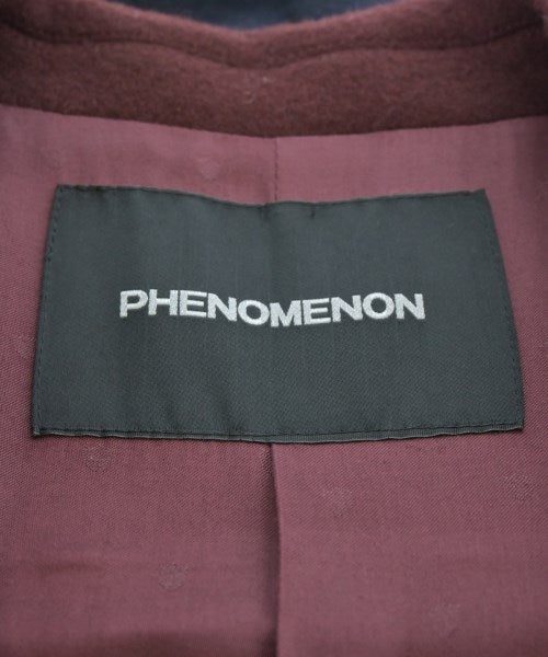 phenomenon 其他大衣