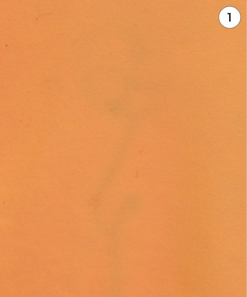 POLAR SKATE 連帽衫