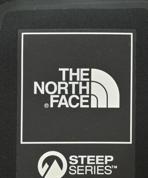 THE NORTH FACE 山系外套