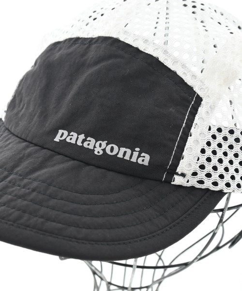patagonia 棒球帽