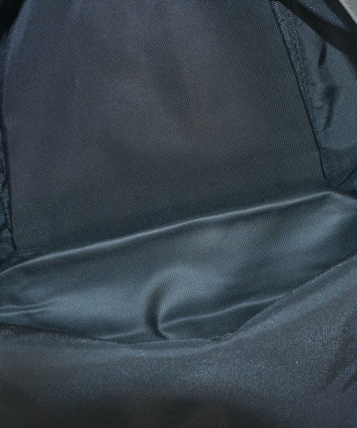 THE NORTH FACE PURPLE LABEL 背包