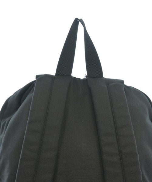 THE NORTH FACE PURPLE LABEL 背包