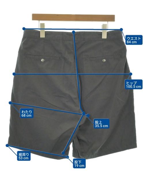 THE NORTH FACE PURPLE LABEL 短褲