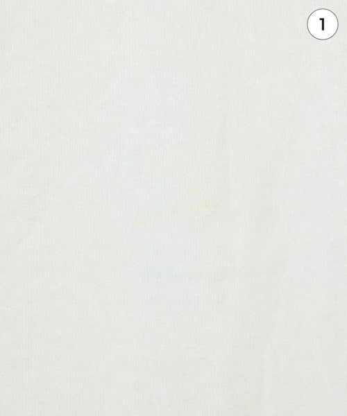 THE NORTH FACE PURPLE LABEL T恤/上衣