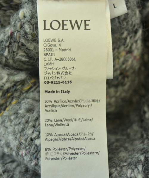 LOEWE 其他飛行外套