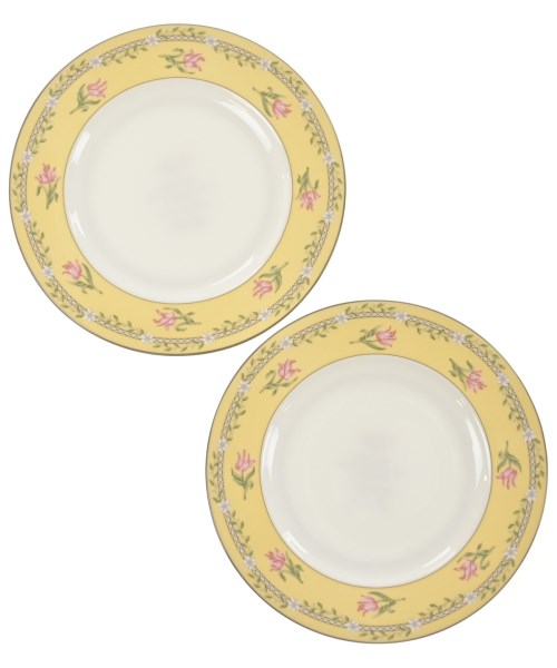 TIFFANY & CO. 其他/商品