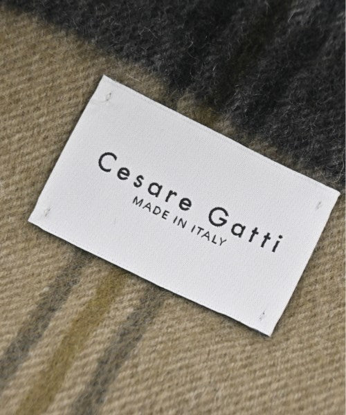Cesare Gatti 冬季圍巾