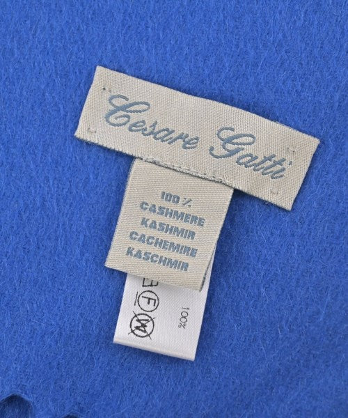 Cesare Gatti 冬季圍巾