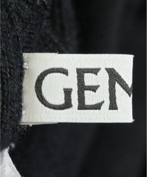 GEMINI 其他款