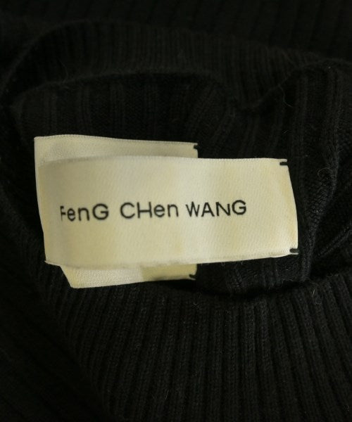 Feng Chen Wang 毛衣