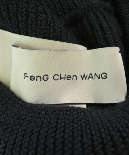 Feng Chen Wang 毛衣