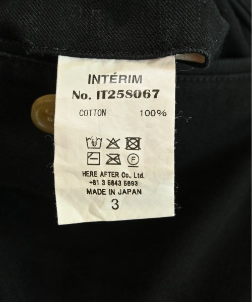 INTERIM 其他款