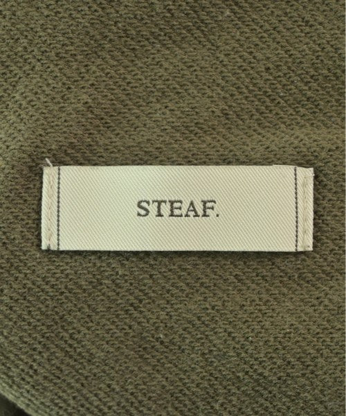 STEAF 其他款