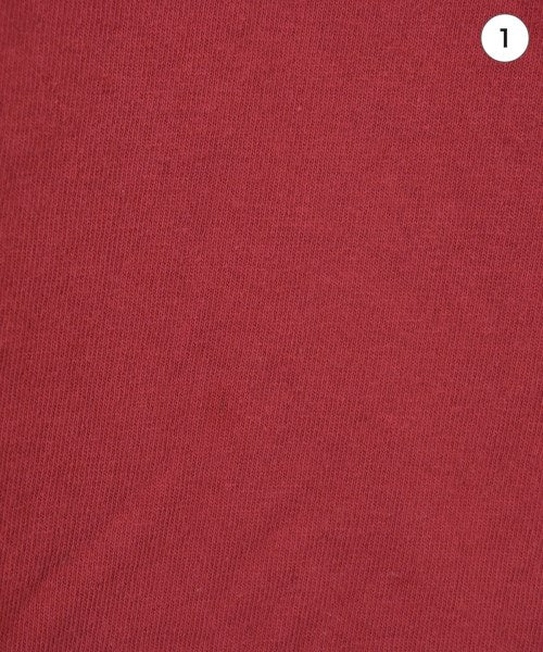THE NORTH FACE PURPLE LABEL T恤/上衣